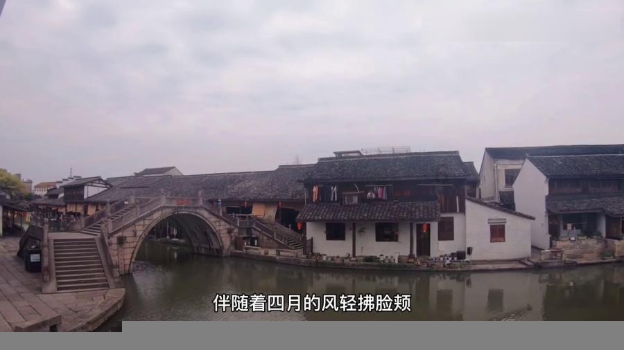 红烧鸡翅最正宗的做法-解疑答惑,让你为之倾倒!